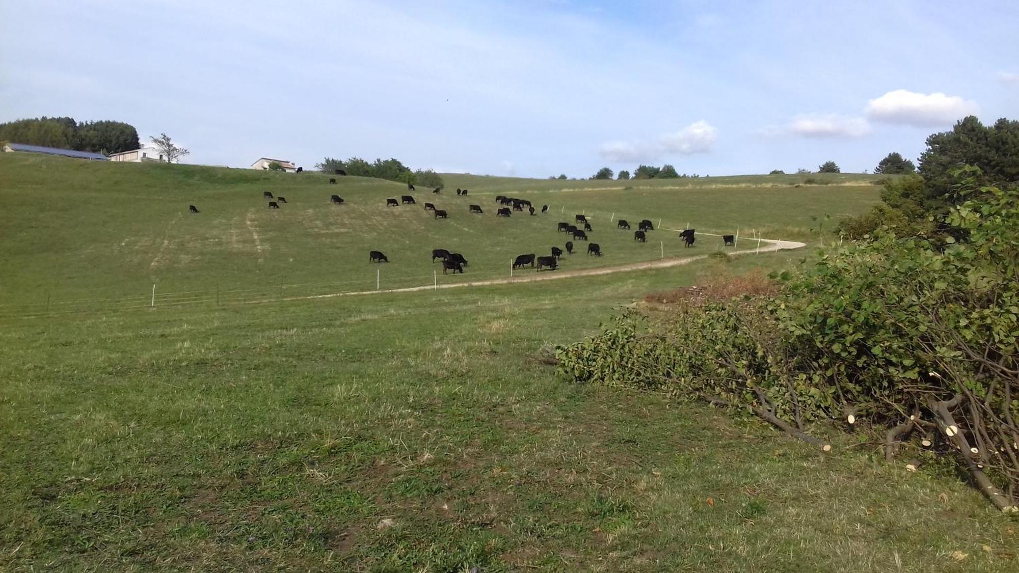 Willa Agriturismo Preele Ferrara di Monte Baldo Zewnętrze zdjęcie