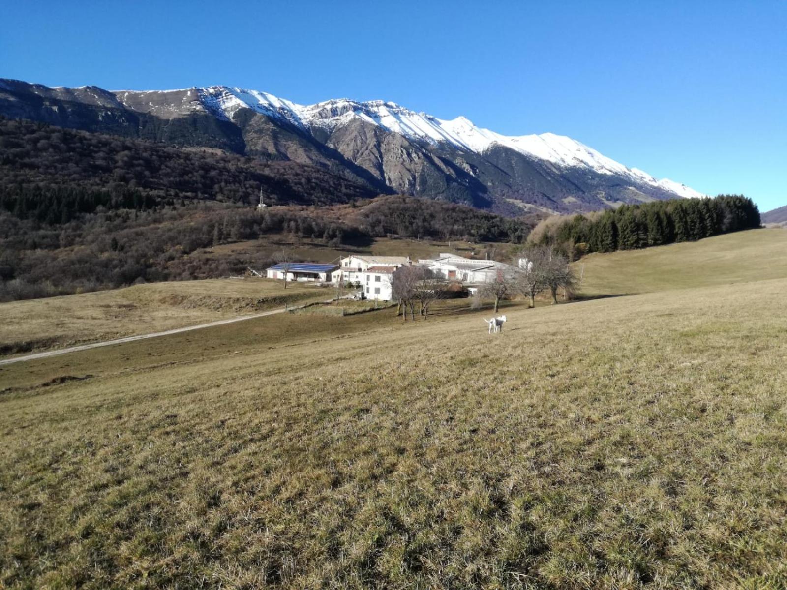 Willa Agriturismo Preele Ferrara di Monte Baldo Zewnętrze zdjęcie