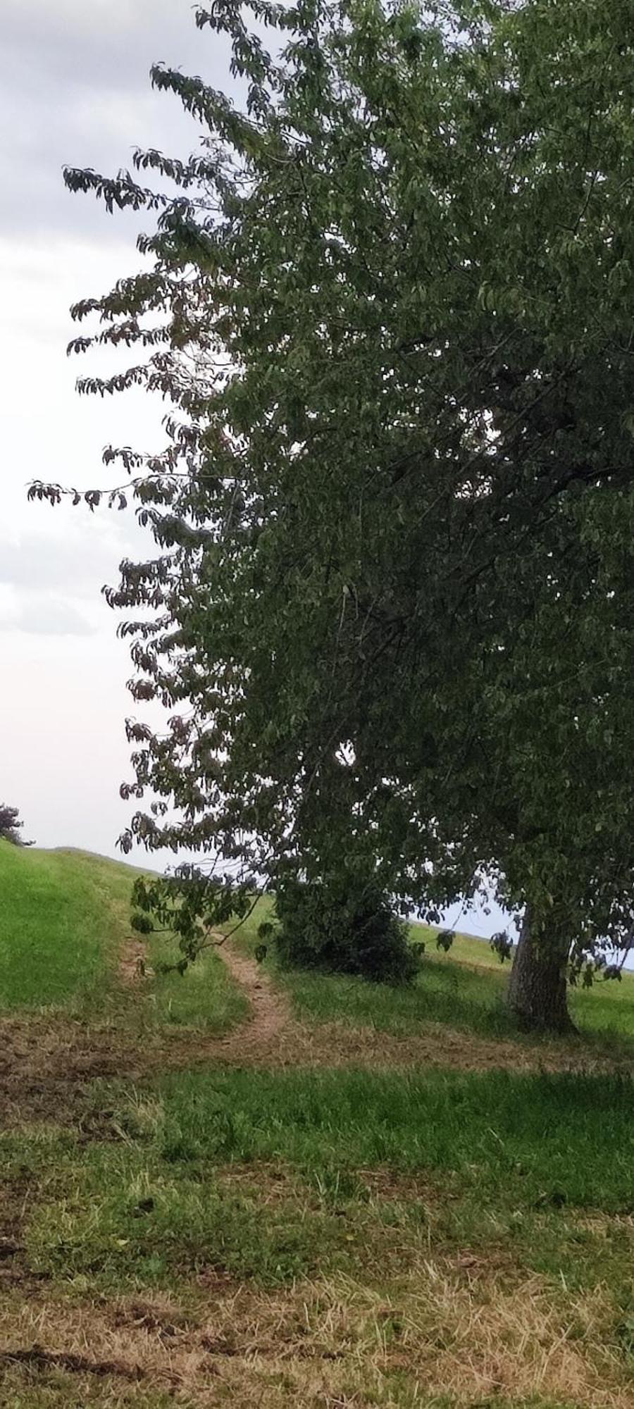 Willa Agriturismo Preele Ferrara di Monte Baldo Zewnętrze zdjęcie
